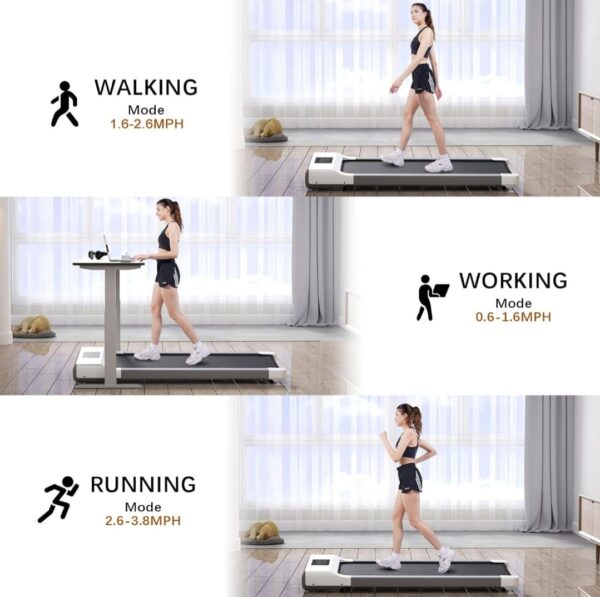 GYM3 Copy